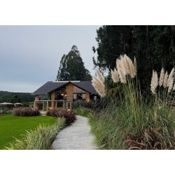 Campanha de Dia dos Namorados no City Center Outlet Premium sorteia final de semana romântico em resort